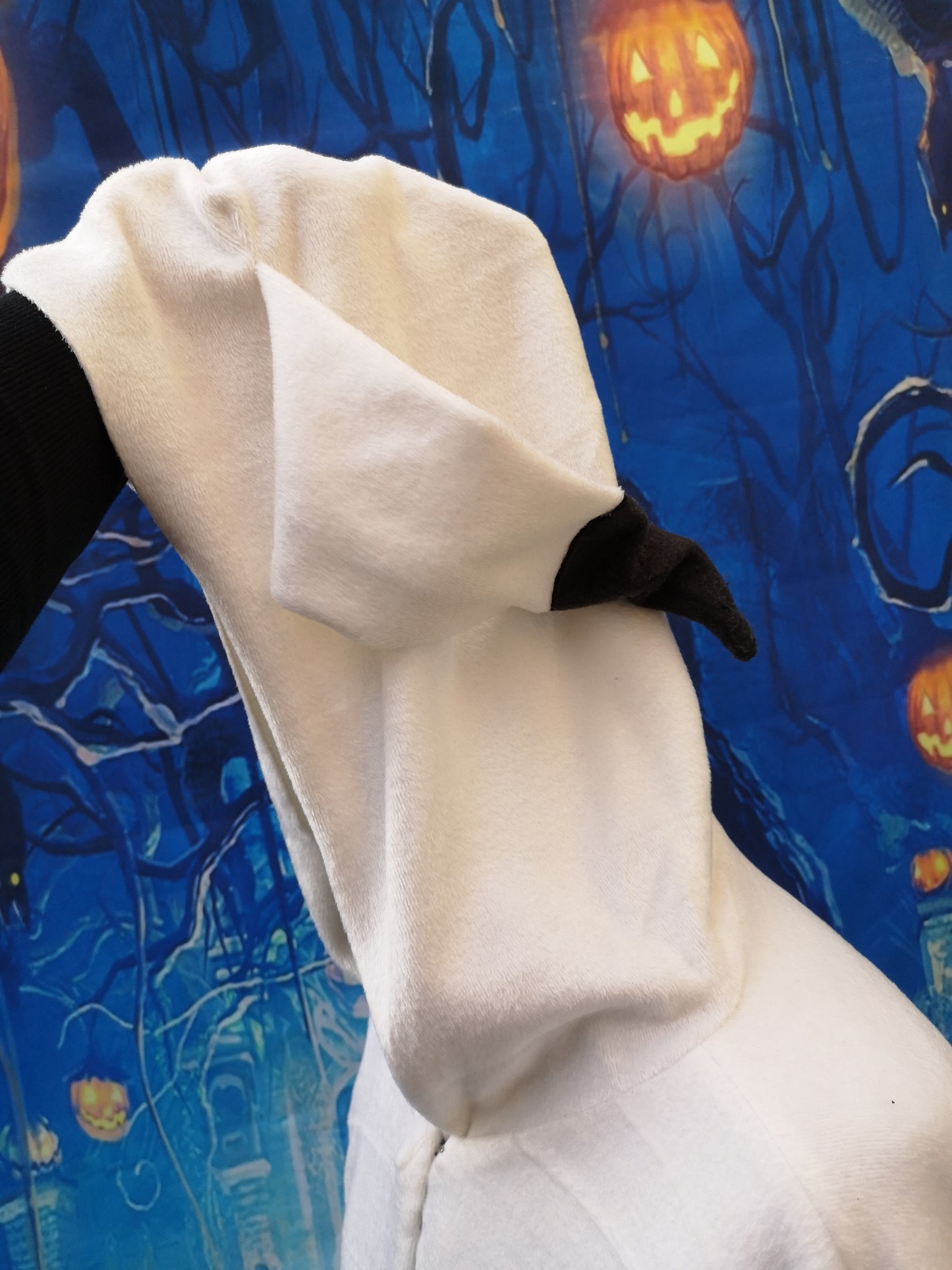 Cape "Inspiration eines Mimigma"