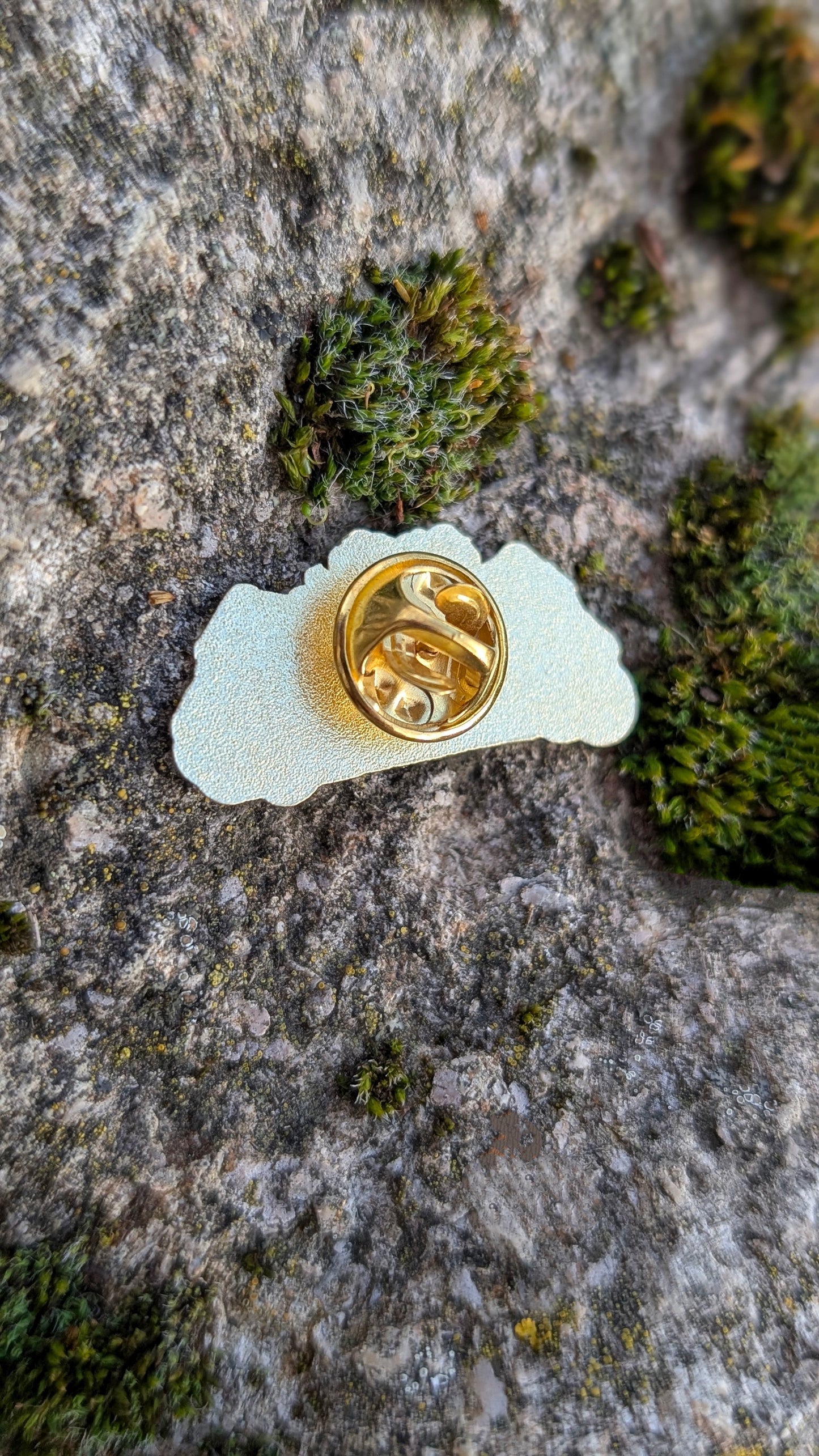 Pin "Just one more Chapter"