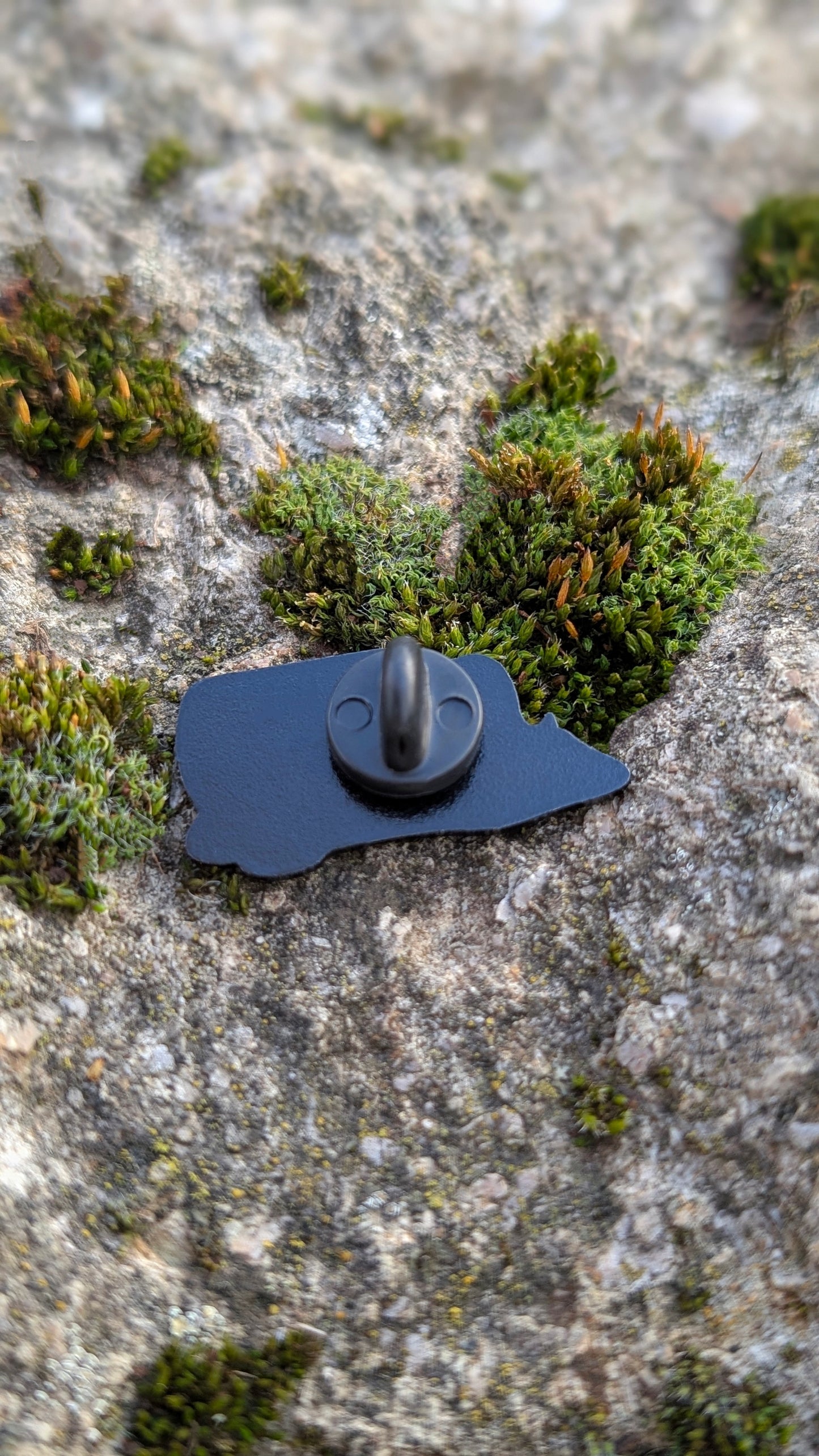 Pin • "Entflossene Träume"